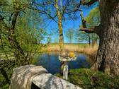 Blick auf Teich - 
