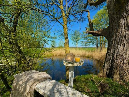 Blick auf Teich - 