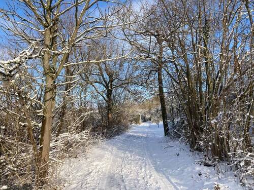 Winterimpressionen: Zufahrtsweg oberhalb des Grundstücks - 