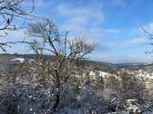Winterimpressionen: Grundstück und Ausblick - 