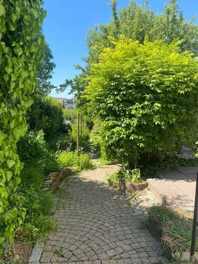 Gepflasterte Wege - 