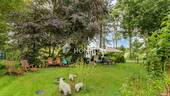Garten 1 - Bauernhaus, Landhaus mit 207,00 m² in Jade zum Kaufen