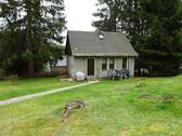 DSC01755.JPG - Sonniger Platz am Waldesrand - 49.000,00 EUR Kaufpreis, ca.  47,00 m² Wohnfläche