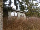 SAM_1556.JPG - 