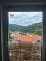 Aussicht - Bezug sofort möglich - KücheBad mit Fenster