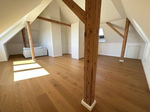 Zimmer DG - 