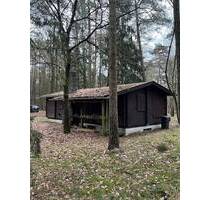 Blockhaus mit 8.922m² Waldgrundstück (Eigenland) - Tostedt Todtglüsingen