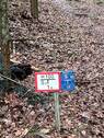 IMG_9243 - 