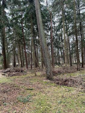 IMG_9219 - 