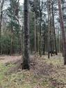 IMG_9220 - 