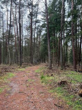 IMG_9242 - 
