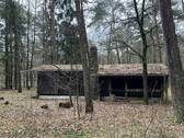 IMG_9218 - 