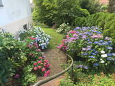 Bild 13 - 