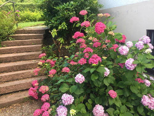 Treppe Gartenzugang - 