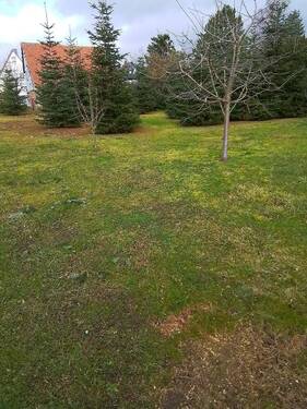 Bild 13 - 