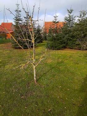 Bild 21 - 