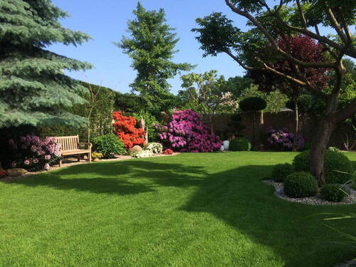 Blick in den Garten - 