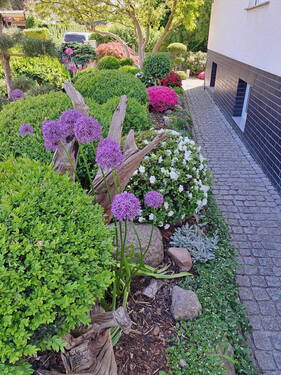 Vor dem Haus - 