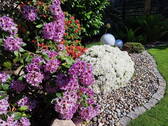 Im Garten - 