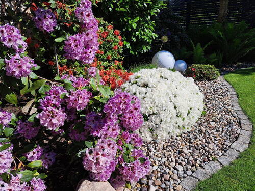 Im Garten - 