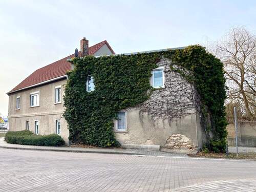 Hausansicht - 5 Zimmer Einfamilienhaus zum Kaufen in Halle (Saale)