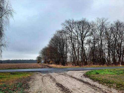 Entwicklungsland mit Landstrasse - Entwicklungsgrundstücke vor den Toren Berlins