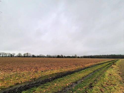 Entwicklungsland grösserer Teil - Grundstück zum Kaufen in Altlandsberg