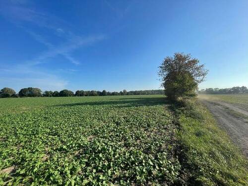 image1 (11) - 