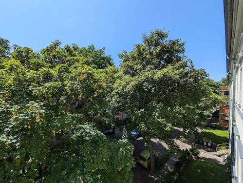 Wohn- & Schlafzimmer (Ausblick) - 