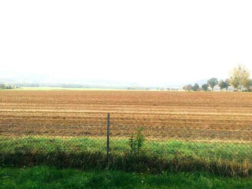 Ausblick von der Terrasse.jpg - ::: IDYLLE PUR ::: Eigene kleine Terrasse mit Blick über die Felder