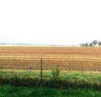 ::: IDYLLE PUR::: Eigene kleine Terrasse mit Blick über die Felder - Springe Eldagsen