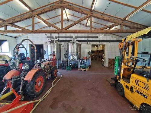 Weinproduktionshalle - 