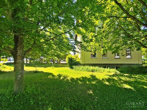 Garten mit Baumbestand - 