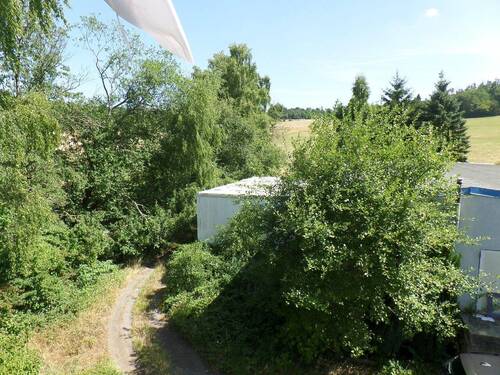 Blick in die Natur - 