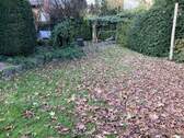 Gartenimpressionen - 