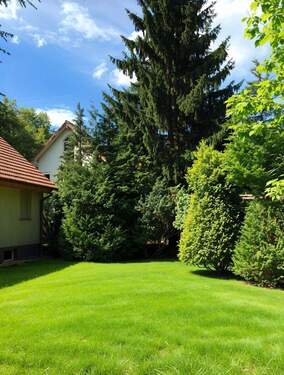 Garten - 7 Zimmer Mehrfamilienhaus, Wohnhaus zum Kaufen in Kleinmachnow