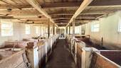 Stallung - 