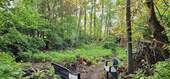 Im Garten - 