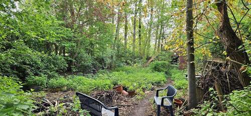 Im Garten - 