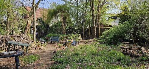 Blick aus dem Garten - 