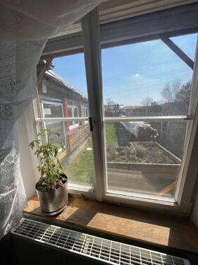 Sicht in den Garten - 