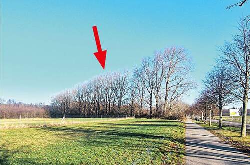 26-01-006d - Grundstück in Rostock zum Kaufen