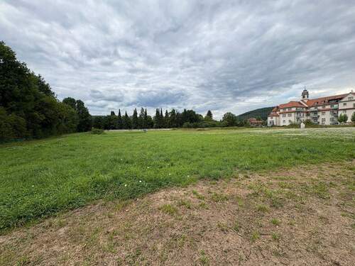 Grundstücksansicht aus Südwesten - Grundstück zum Kaufen in Lohr am Main