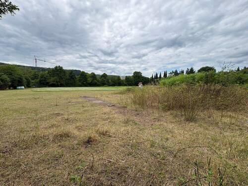 Grundstückansicht aus Osten - Grundstück in Lohr am Main