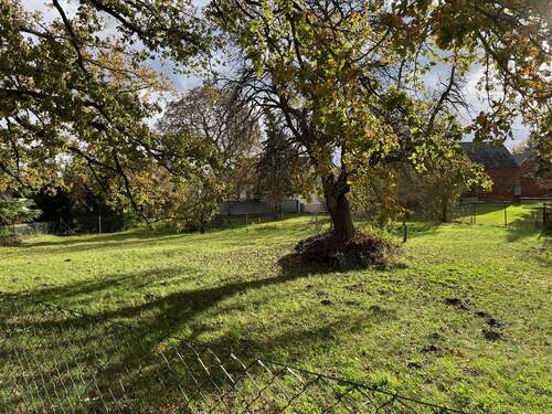 Foto neu.jpg - Raum für Ideen: Baugrundstück mit Südausrichtung in Kolkwitz
