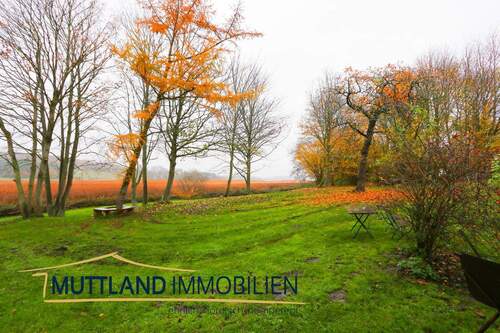 Hof mit Boddenblick - 9 Zimmer Mehrfamilienhaus, Wohnhaus in Neuenkirchen