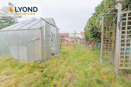 Garten mit Gewächshaus - 