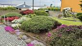 Garten vor dem Haus - 