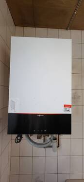 1000054800.jpg - 