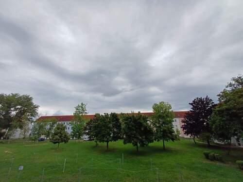 Blick in den Innenhof - 